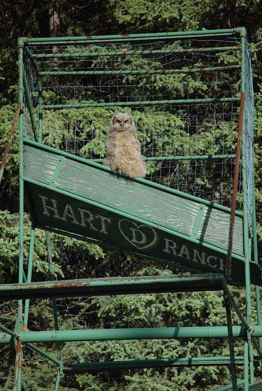 Hart D Ranch Slana Exterior foto